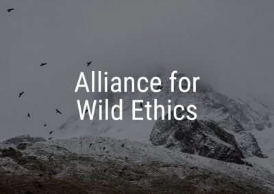 Alliance for Wild Ethics – integrating communities with the nature that surrounds them