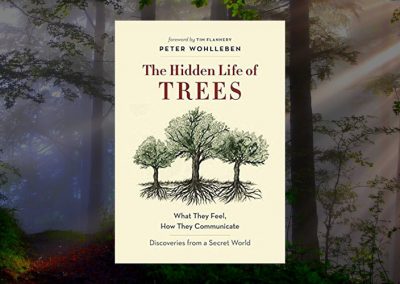 “The Hidden Life of Trees” and other books by Peter Wohlleben