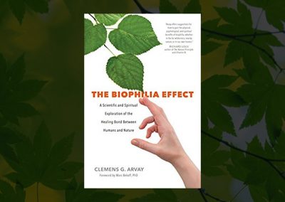 The Biophilia Effect: A Exploration of the Healing Bond Between Humans and Nature